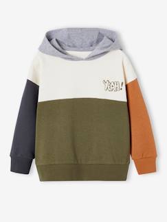 Menino 2-14 anos-Camisolas, casacos de malha, sweats-Sweat colorblock com capuz, Basics, para menino