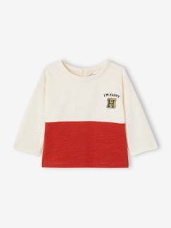 Bebé 0-36 meses-T-shirts-Camisola colorblock, em algodão bio, para bebé menino
