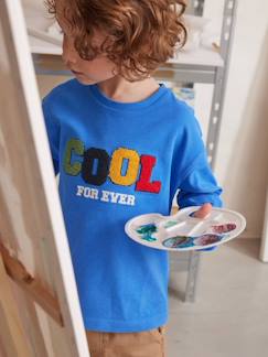 Menino 2-14 anos-T-shirts, polos-Camisola cool, para menino