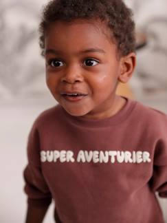 Bebé 0-36 meses-Camisolas, casacos de malha, sweats-Sweat personalizável, para bebé menino
