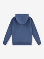 Sweat com capuz, LVB Sporty Hoodie da LEVI'S, para criança azul+verde 