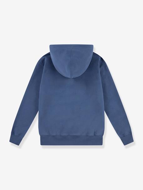 Sweat com capuz, LVB Sporty Hoodie da LEVI'S, para criança azul+verde 