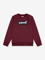 Sweat Batwing Crewneck da Levi's®, para criança castanho 