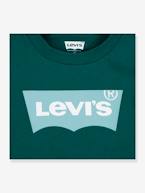 T-shirt Batwing LEVI'S®, para criança verde-abeto 