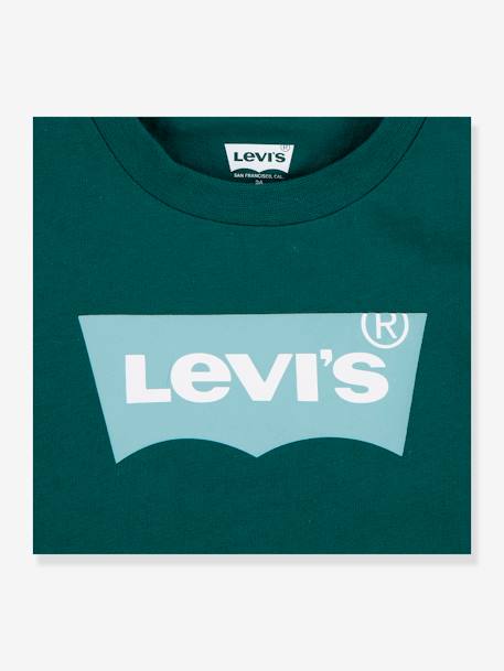 T-shirt Batwing LEVI'S®, para criança verde-abeto 