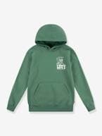 Sweat com capuz, LVB Lasso it up Hoodie da LEVI'S verde 