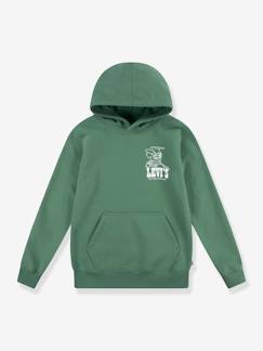 Menino 2-14 anos-Sweat com capuz, LVB Lasso it up Hoodie da LEVI'S