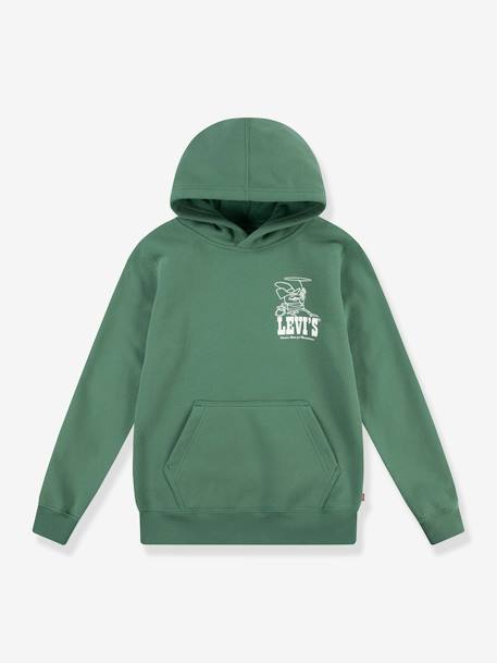 Sweat com capuz, LVB Lasso it up Hoodie da LEVI'S verde 