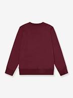 Sweat Batwing Crewneck da Levi's®, para criança castanho 