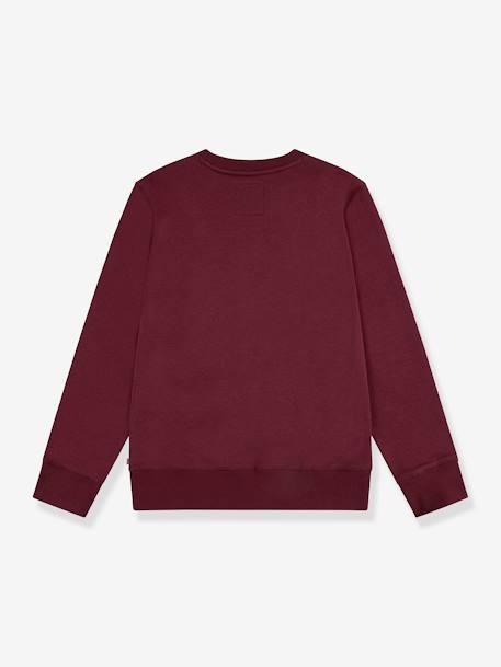 Sweat Batwing Crewneck da Levi's®, para criança castanho 