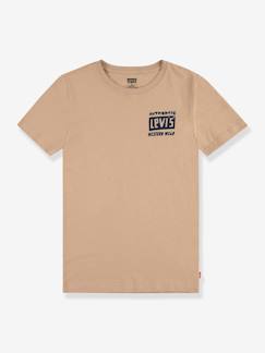 Menino 2-14 anos-T-shirts, polos-T-shirts-T-shirt  Cactus Out West da LEVI'S®, com motivo atrás, para criança