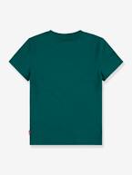 T-shirt Batwing LEVI'S®, para criança verde-abeto 