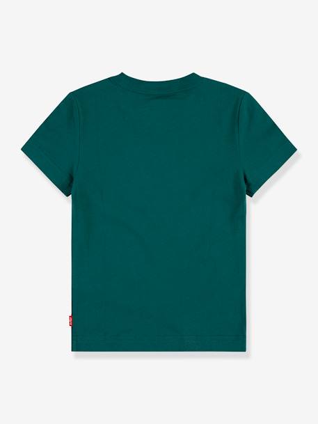 T-shirt Batwing LEVI'S®, para criança verde-abeto 