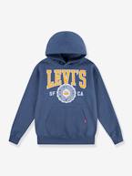 Sweat com capuz, LVB Sporty Hoodie da LEVI'S, para criança azul+verde 