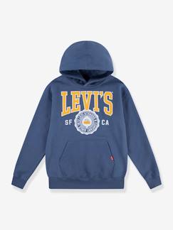 Menino 2-14 anos-Camisolas, casacos de malha, sweats-Sweat com capuz, LVB Sporty Hoodie da LEVI'S, para criança