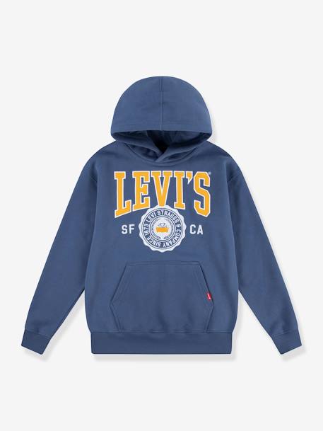 Sweat com capuz, LVB Sporty Hoodie da LEVI'S, para criança azul+verde 