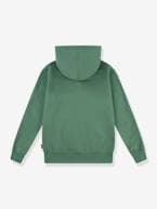 Sweat com capuz, LVB Lasso it up Hoodie da LEVI'S verde 