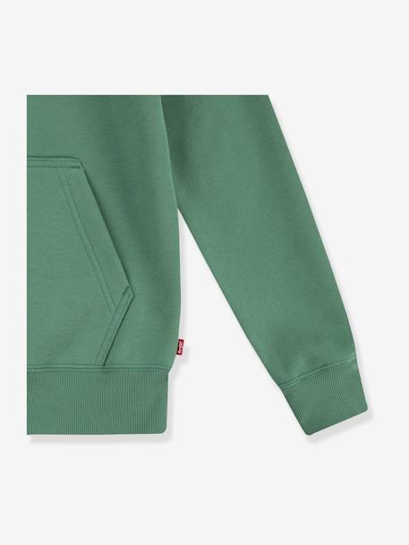 Sweat com capuz, LVB Lasso it up Hoodie da LEVI'S verde 