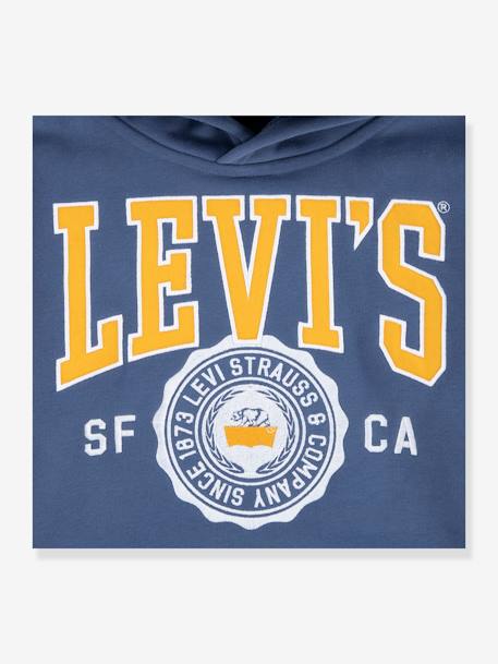 Sweat com capuz, LVB Sporty Hoodie da LEVI'S, para criança azul+verde 