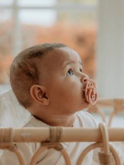 Puericultura-Alimentação Bebé-Chupetas e anéis de dentição-Lote de 2 chupetas BIBS Bohème, tamanho 1, dos 0 aos 6 meses