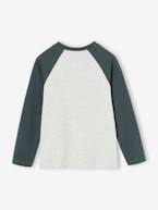 Camisola com motivo gráfico e mangas raglan de cor, para menino AZUL MEDIO LISO COM MOTIVO+azul-ardósia+cinza mesclado+líquen+noz pecã 