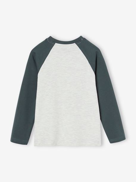 Camisola com motivo gráfico e mangas raglan de cor, para menino AZUL MEDIO LISO COM MOTIVO+azul-ardósia+cinza mesclado+líquen+noz pecã 