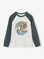 Camisola com motivo gráfico e mangas raglan de cor, para menino AZUL MEDIO LISO COM MOTIVO+azul-ardósia+cinza mesclado+líquen+noz pecã 