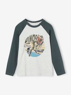 Menino 2-14 anos-T-shirts, polos-Camisola com motivo gráfico e mangas raglan de cor, para menino