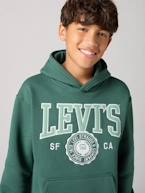 Sweat com capuz, LVB Sporty Hoodie da LEVI'S, para criança azul+verde 