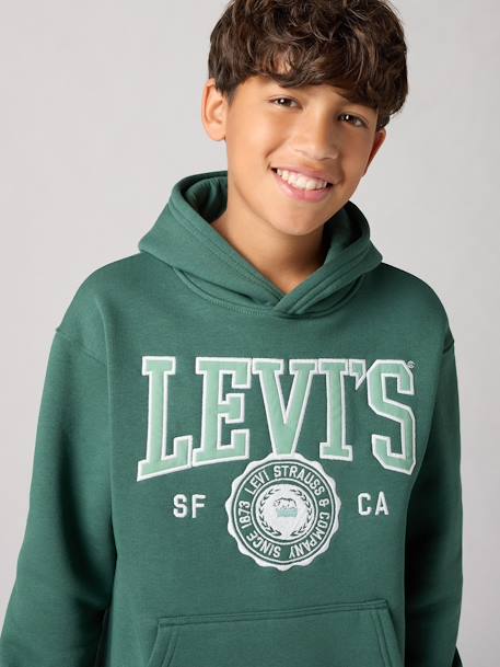 Sweat com capuz, LVB Sporty Hoodie da LEVI'S, para criança azul+verde 