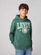 Sweat com capuz, LVB Sporty Hoodie da LEVI'S, para criança azul+verde 