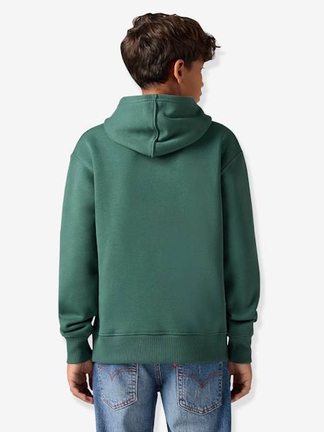 Sweat com capuz, LVB Sporty Hoodie da LEVI'S, para criança azul+verde 