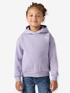 Sweat com capuz LVG Batwing Chest Hit Hoodie da LEVI'S, para criança lilás 