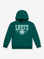 Sweat com capuz, LVB Sporty Hoodie da LEVI'S, para criança azul+verde 