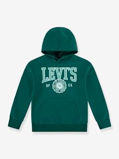 Menino 2-14 anos-Camisolas, casacos de malha, sweats-Sweat com capuz, LVB Sporty Hoodie da LEVI'S, para criança