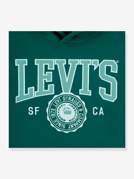 Sweat com capuz, LVB Sporty Hoodie da LEVI'S, para criança azul+verde 