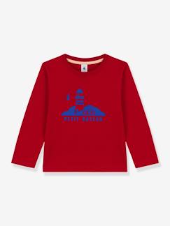 Menina 2-14 anos-T-shirts-Camisola de mangas compridas, para criança, em algodão, da Petit Bateau