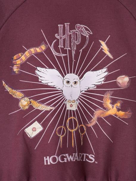 Sweat Harry Potter® para criança, com Hedwige e detalhes em glitter ameixa 