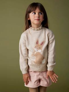 Menina 2-14 anos-Camisola em jacquard, animal realçado por lantejoulas, para menina