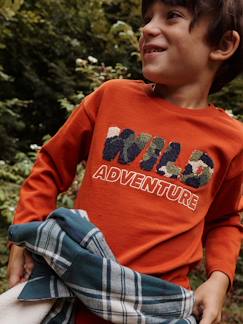 Menino 2-14 anos-T-shirts, polos-Camisola com motivo wild em malha borboto, para menino