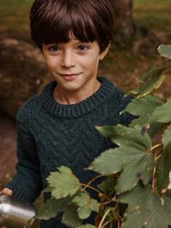 Menino 2-14 anos-Camisolas, casacos de malha, sweats-Camisola aos torcidos, para menino