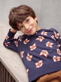 Menino 2-14 anos-Camisolas, casacos de malha, sweats-Camisolas malha-Camisola lúdica em jacquard, raposas, para menino