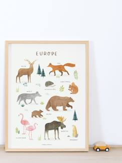 Têxtil-lar e Decoração-Póster Animais da Europa, Living Earth da LILIPINSO