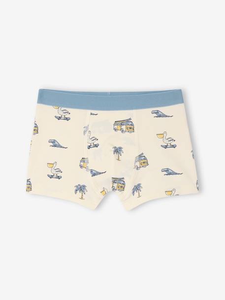 Lote de 5 boxers stretch para menino azul-céu 