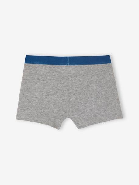 Lote de 5 boxers stretch COOL, para menino azul-rei 