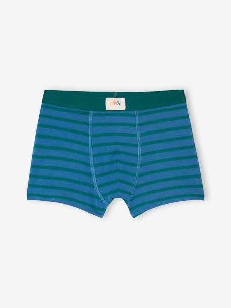 Lote de 5 boxers stretch COOL, para menino azul-rei 