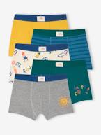 Lote de 5 boxers stretch COOL, para menino azul-rei 