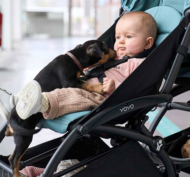 Benefícios da relação entre animais de estimação e crianças